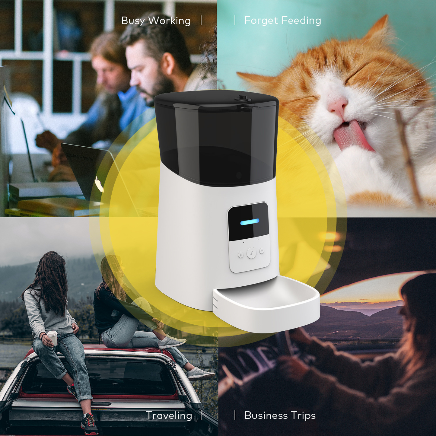 6L smart pet feeder with camera for travel