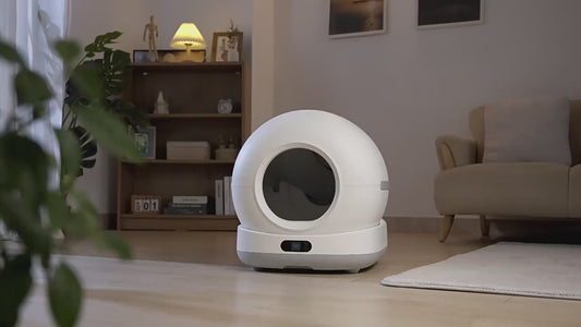 Automatic Smart Extra Large Self-Cleaning Cat Litter Box App Control 2.4G WiFi Quiet Operation Odor Removal for Multiple Cats