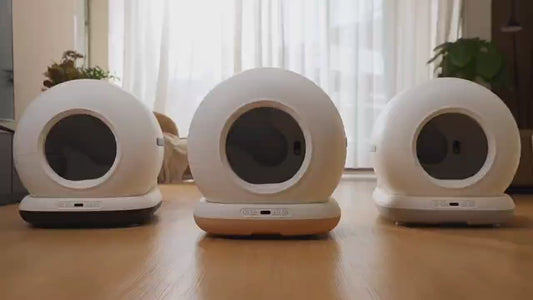 72L Extra Large Self-Cleaning Cat Litter Box, Smart Automatic Litter Box for Multiple Cats, App Control, Odor Removal, HD camera